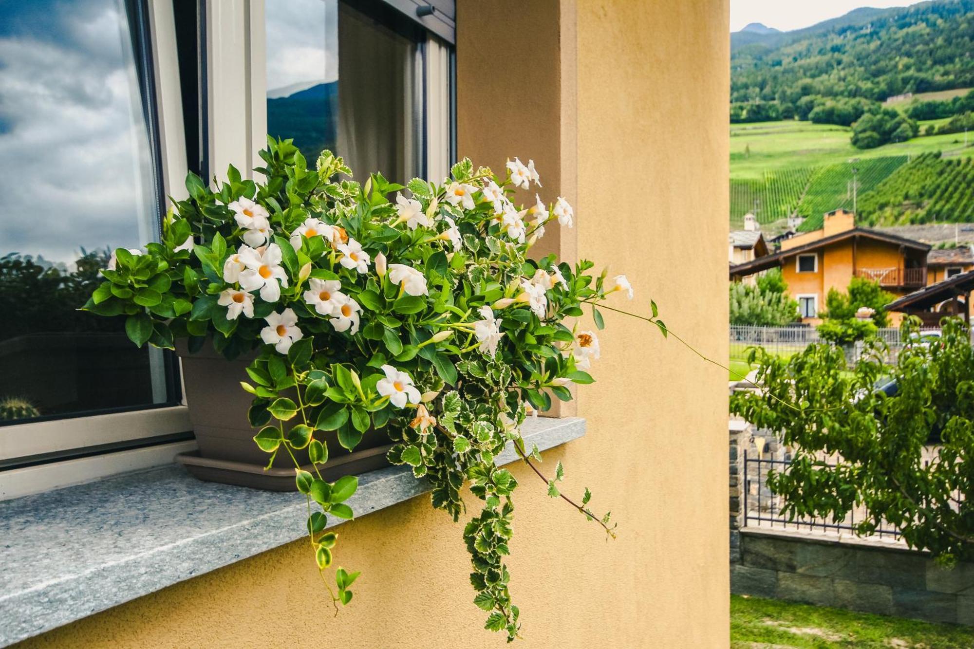 L'Adret Hotel Gressan Buitenkant foto